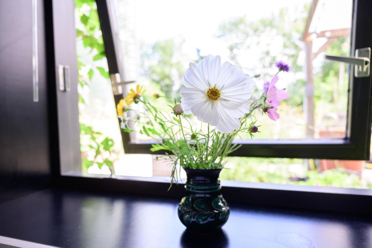 Het Lage Noorden Bed & Breakfast Marrum Ngoại thất bức ảnh